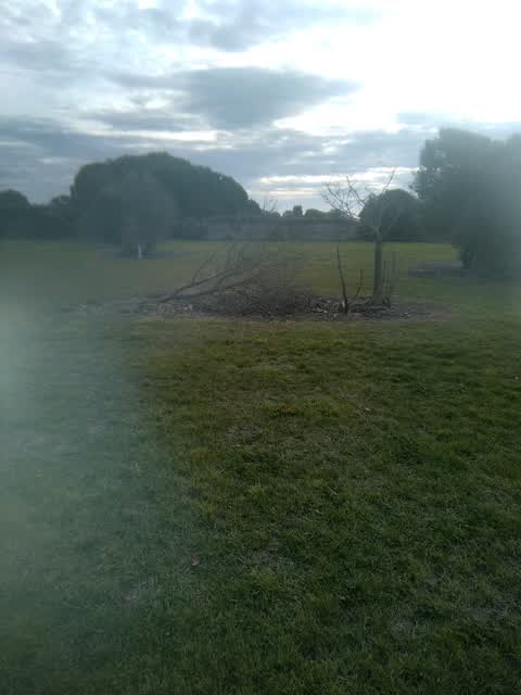 Parks, a report photo