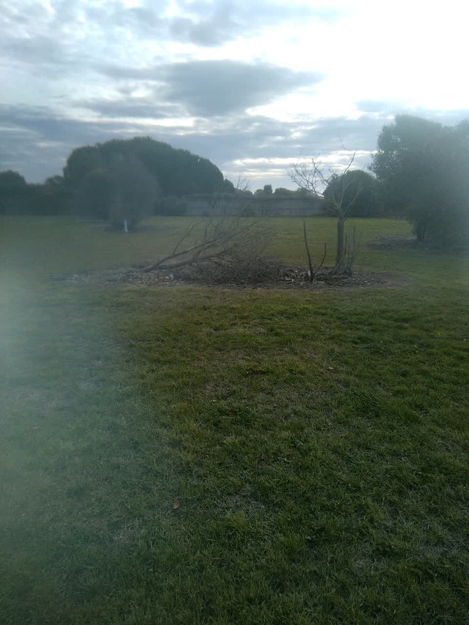 The photograph attached to this parks report