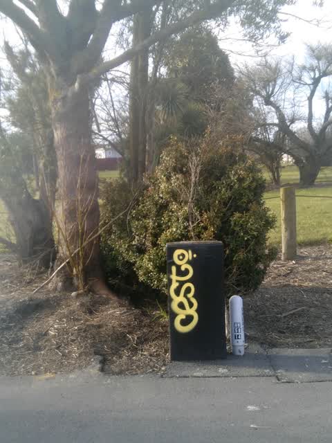 Graffiti, a report photo