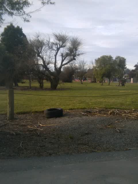 Rubbish/Recycling, a report photo