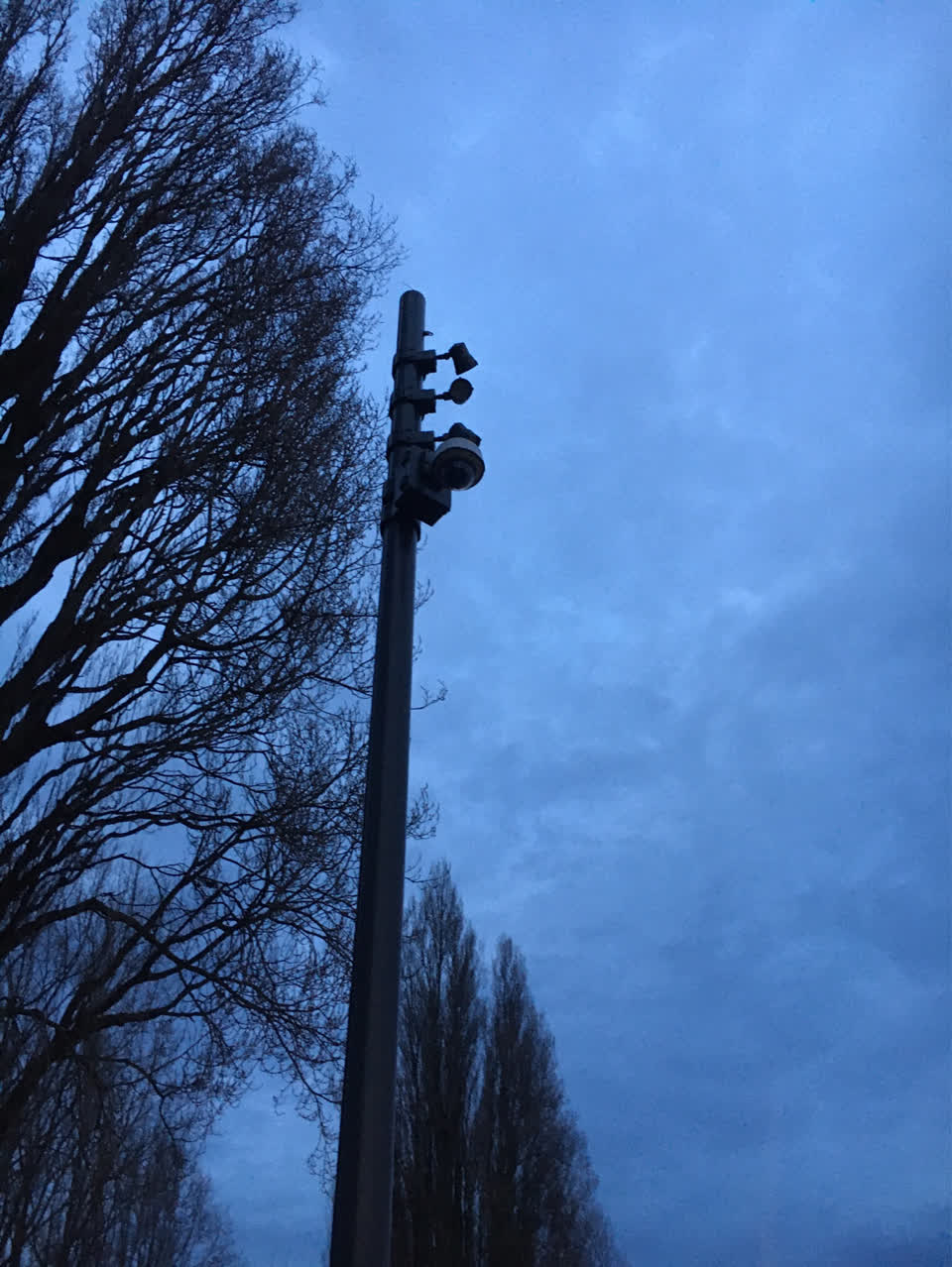 The photograph attached to this parks report
