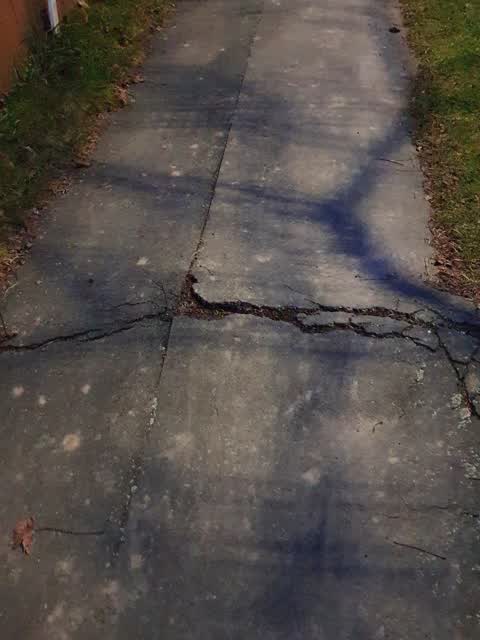 Roading/Streets, a report photo