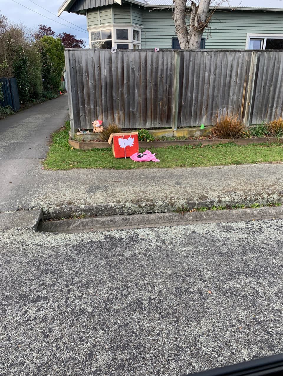 The photograph attached to this rubbish/recycling report