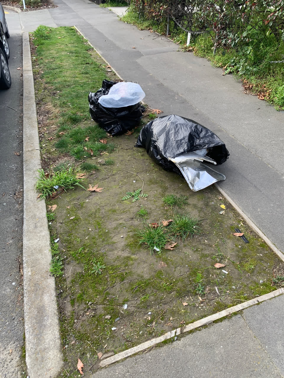The photograph attached to this rubbish/recycling report