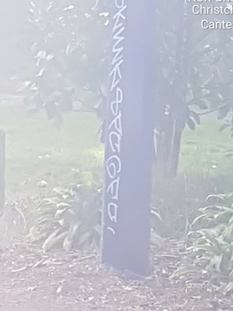 Graffiti, a report photo