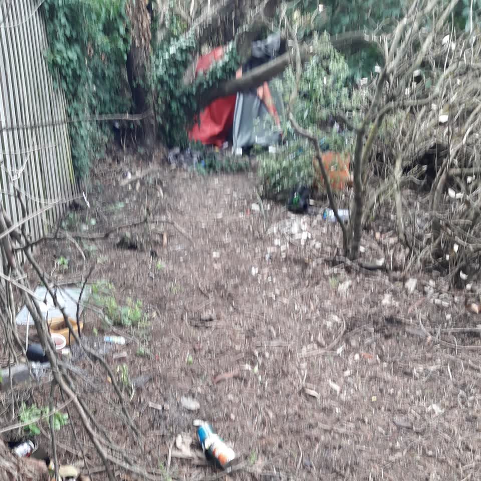 The photograph attached to this parks report