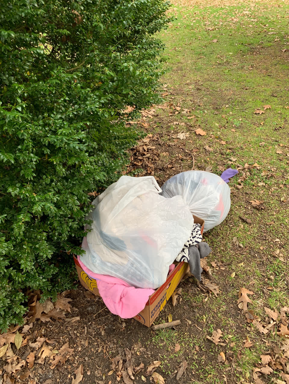 The photograph attached to this rubbish/recycling report