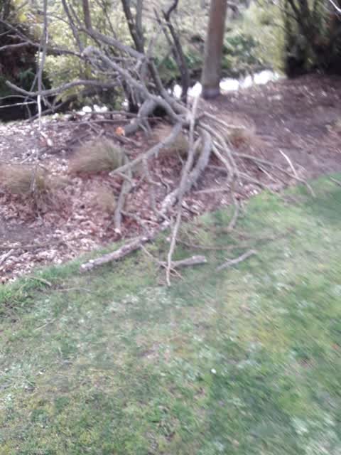 Parks, a report photo