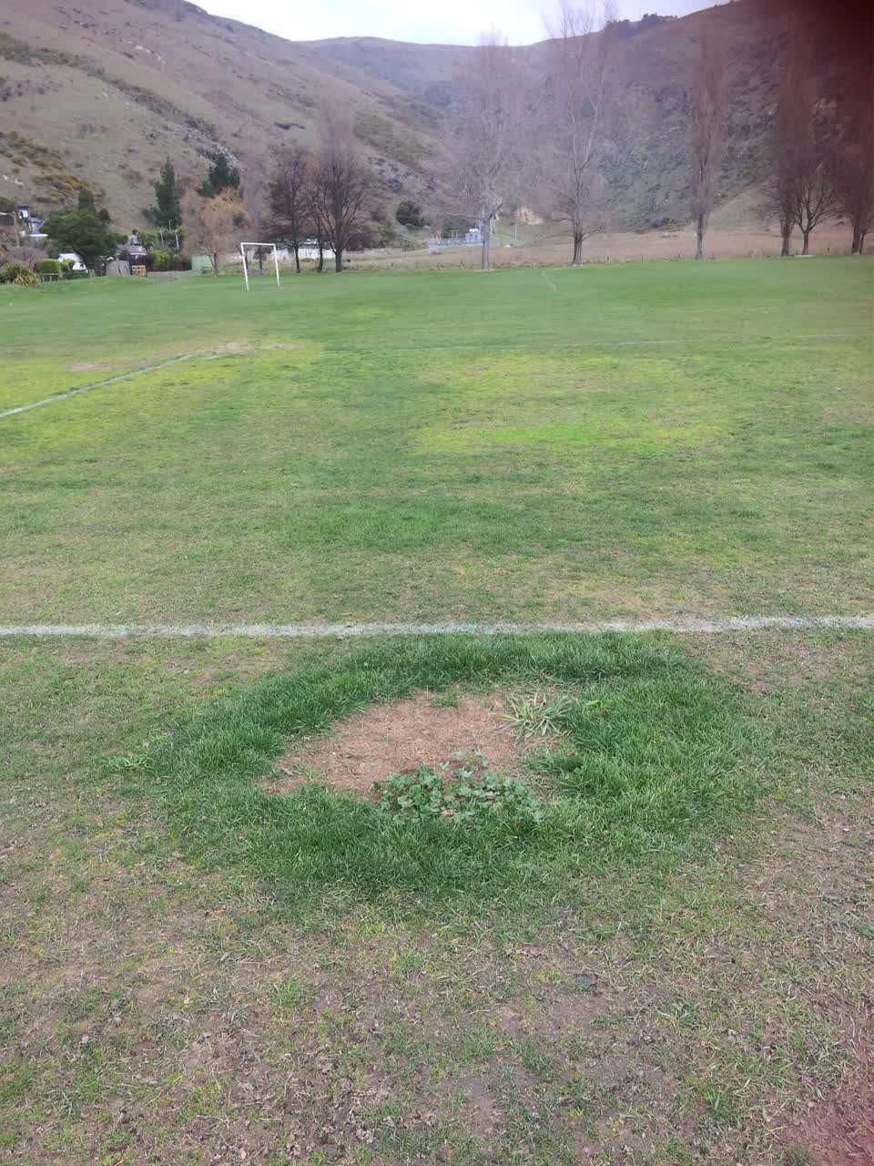 The photograph attached to this parks report