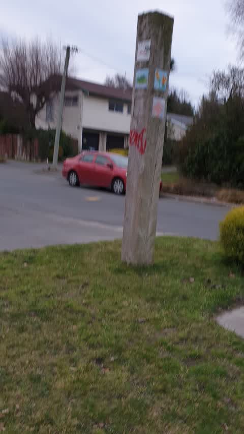 Graffiti, a report photo