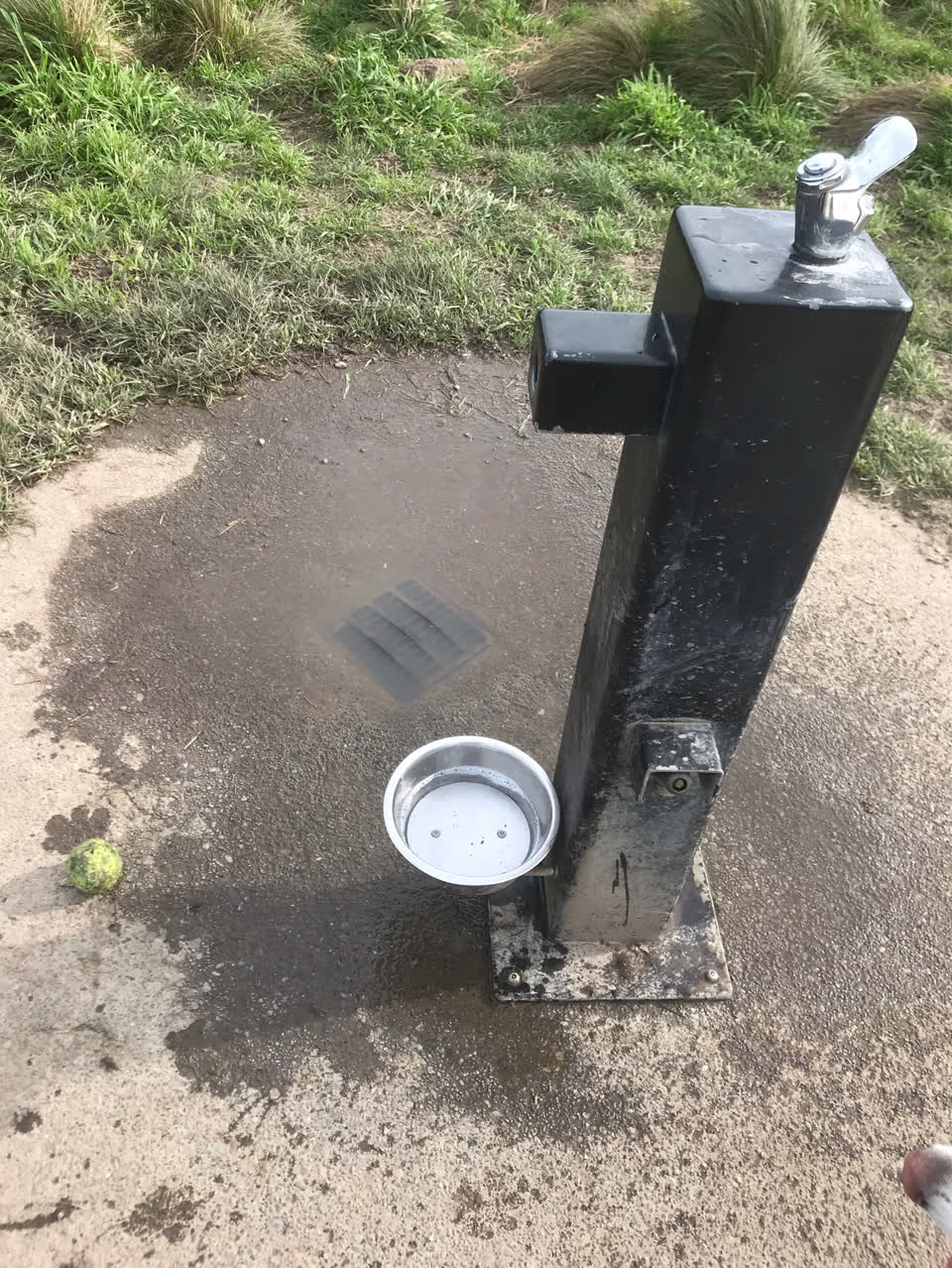The photograph attached to this parks report