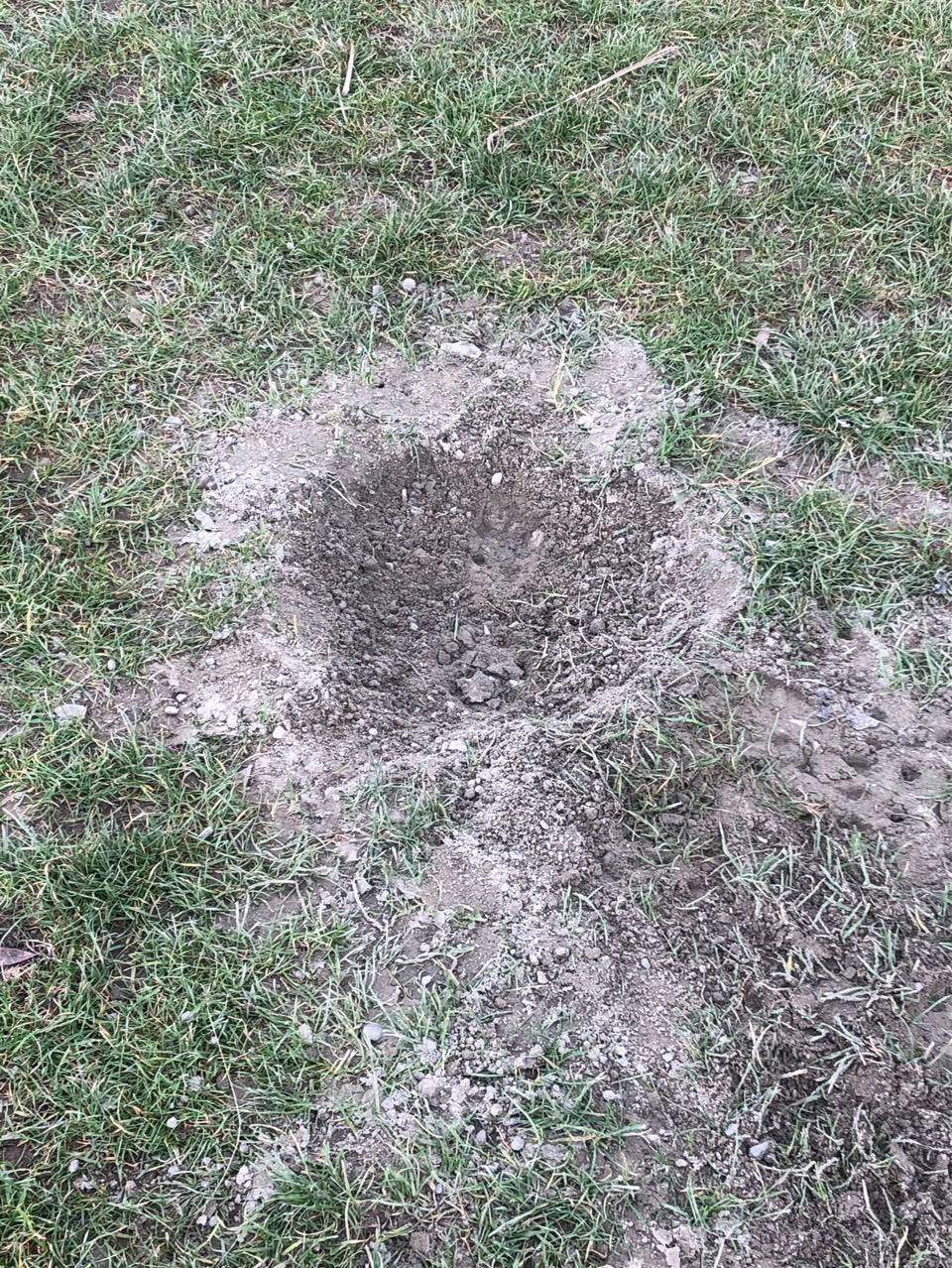 The photograph attached to this parks report