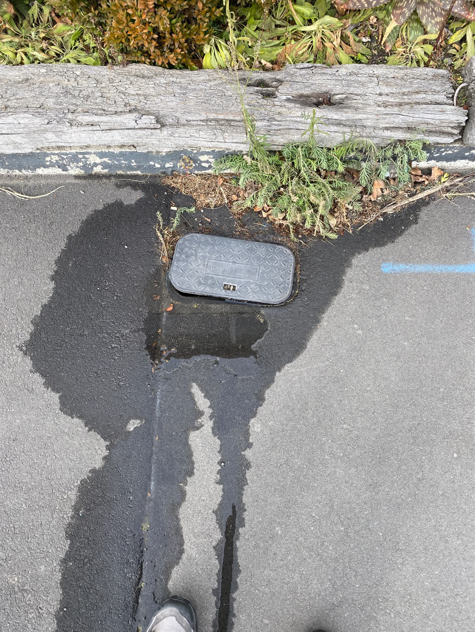The photograph attached to this water supply report