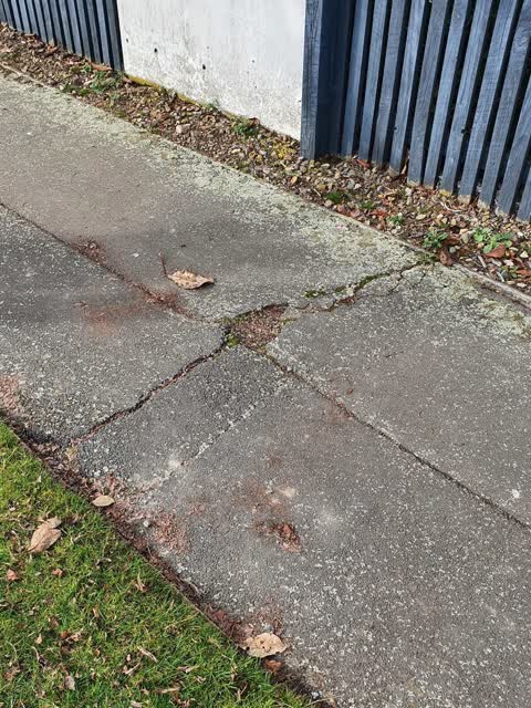 Roading/Streets, a report photo