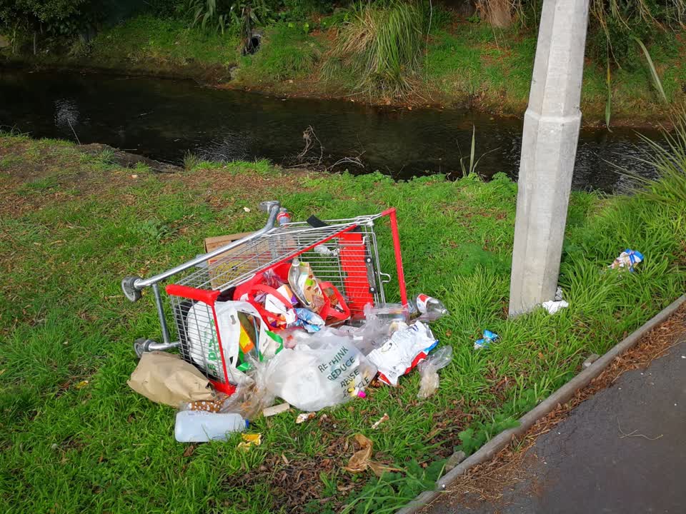 The photograph attached to this rubbish/recycling report