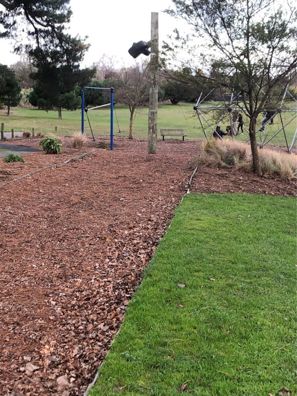 The photograph attached to this parks report