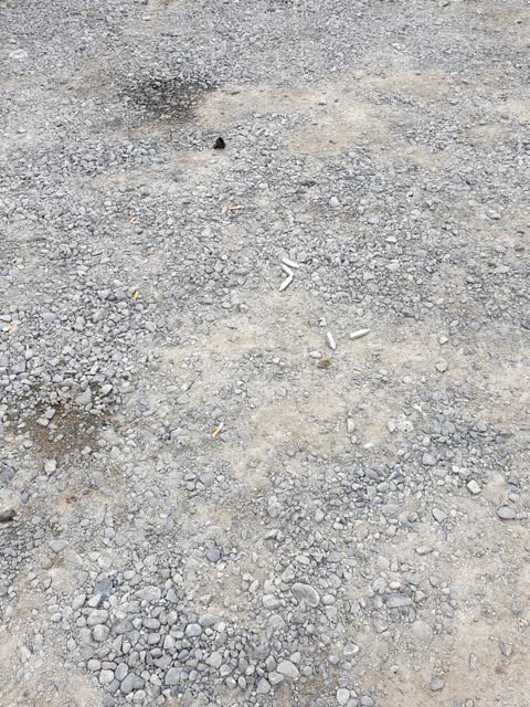 Rubbish/Recycling — a report photo