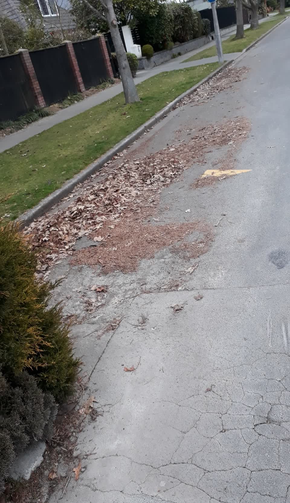 The photograph attached to this roading/streets report