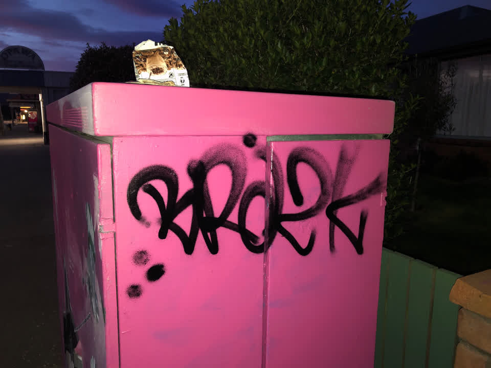 The photograph attached to this graffiti report