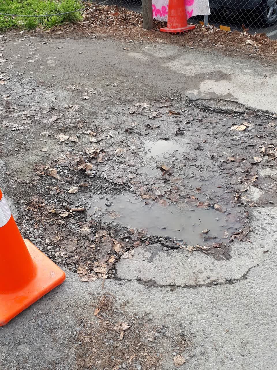 The photograph attached to this parks report