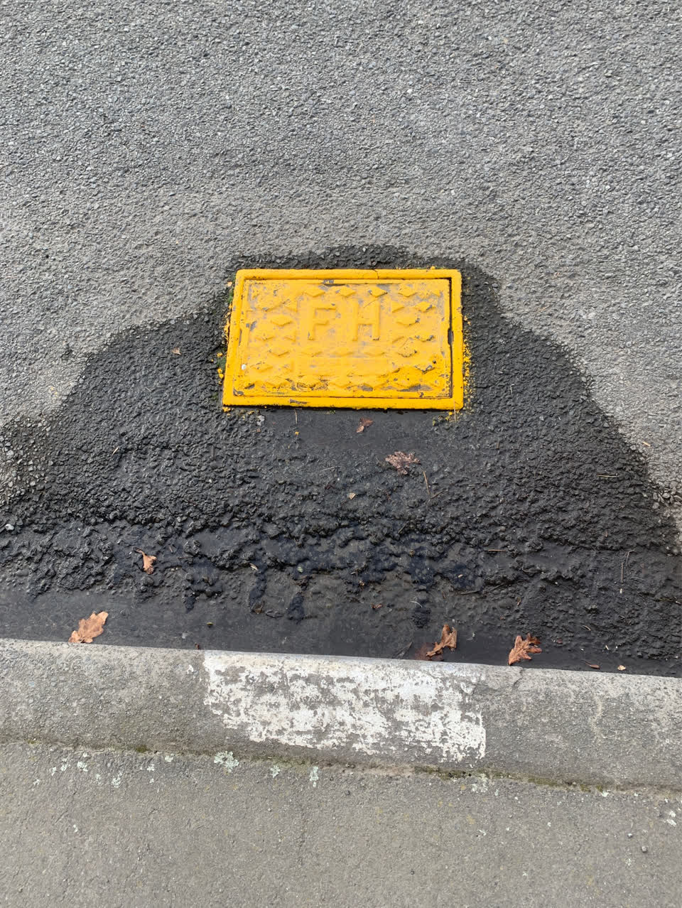 The photograph attached to this flooding report