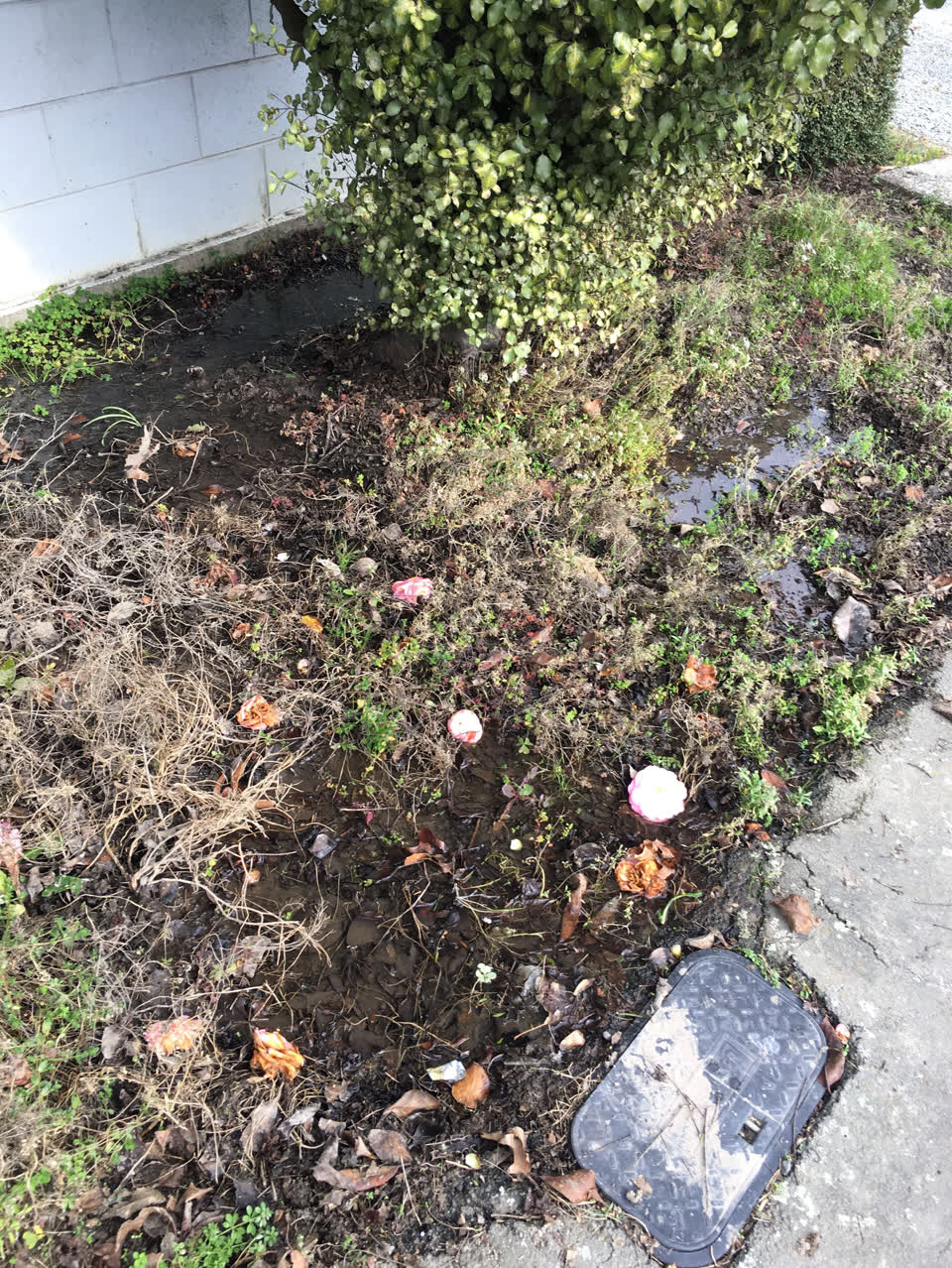 The photograph attached to this wastewater/stormwater report