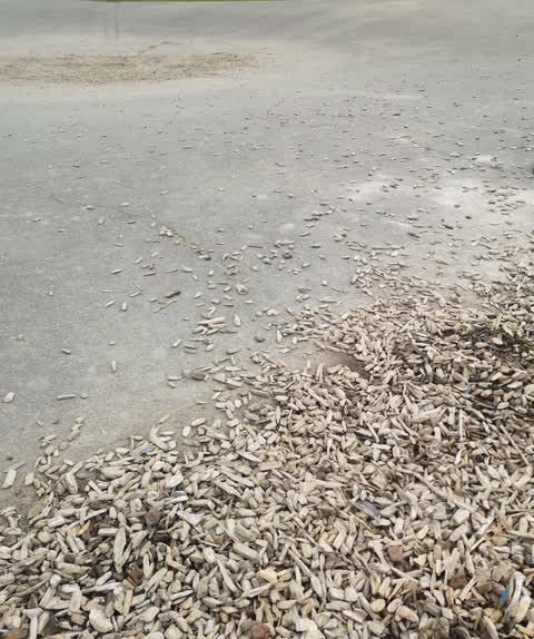 Parks, a report photo