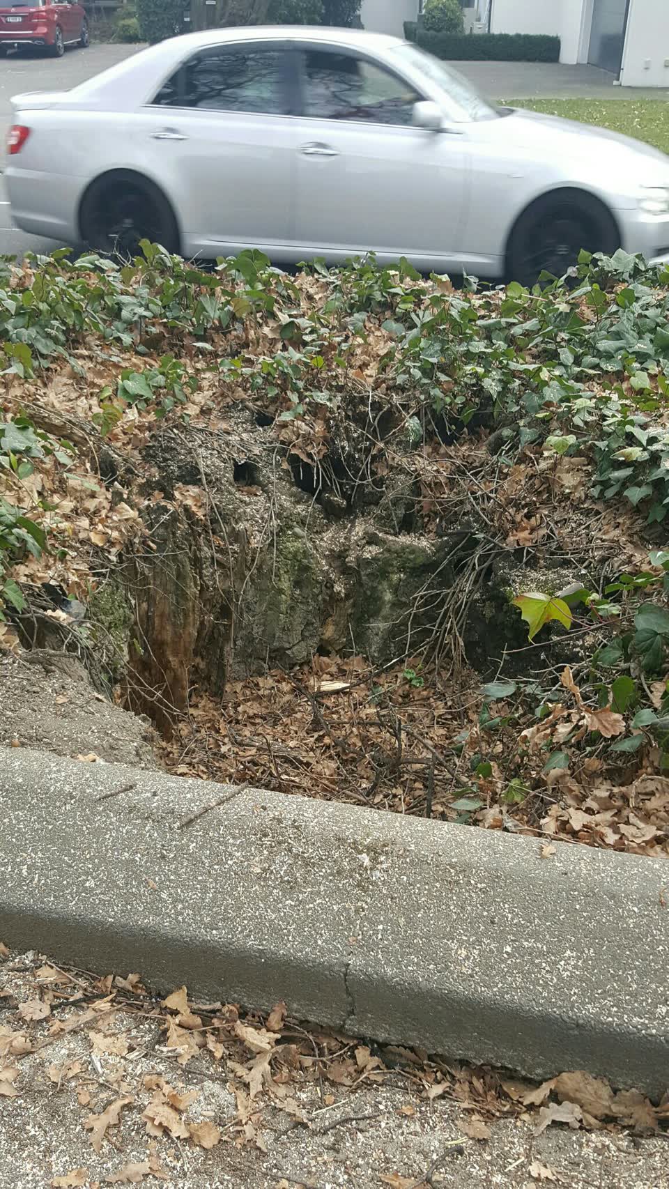 The photograph attached to this roading/streets report