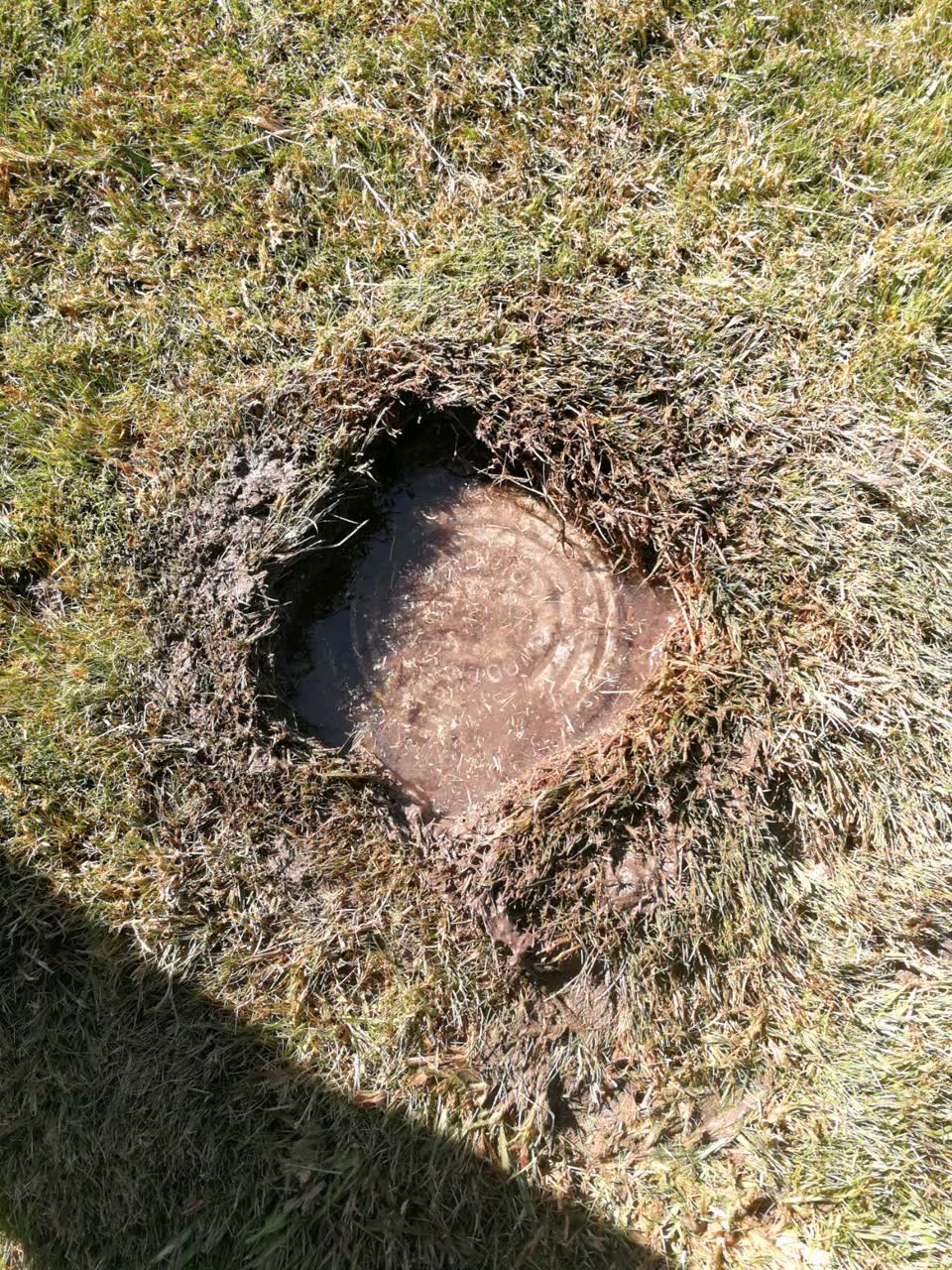 The photograph attached to this water supply report