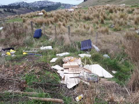 Rubbish/Recycling — a report photo