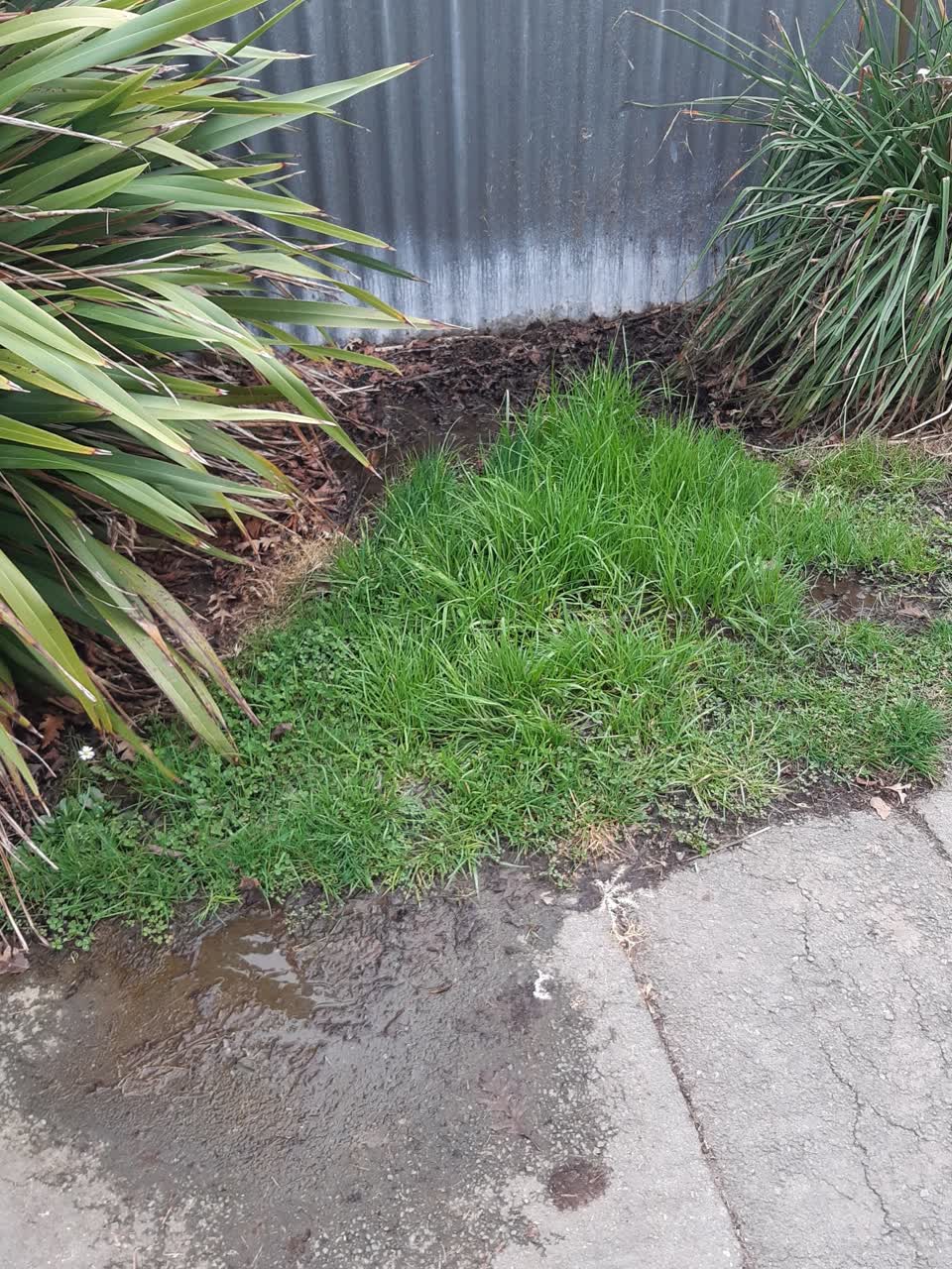 The photograph attached to this water supply report