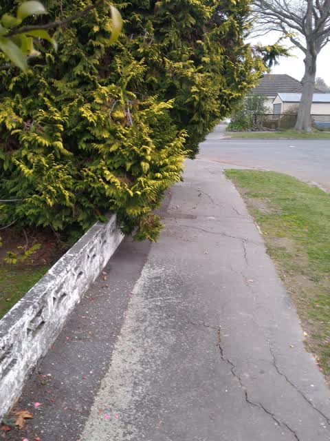 Roading/Streets, a report photo