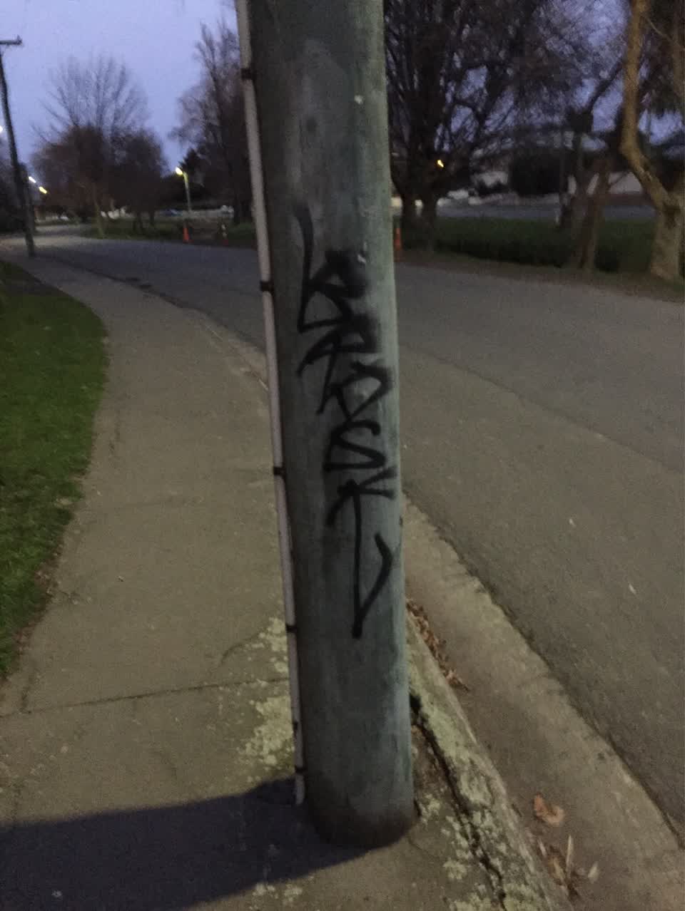 The photograph attached to this graffiti report