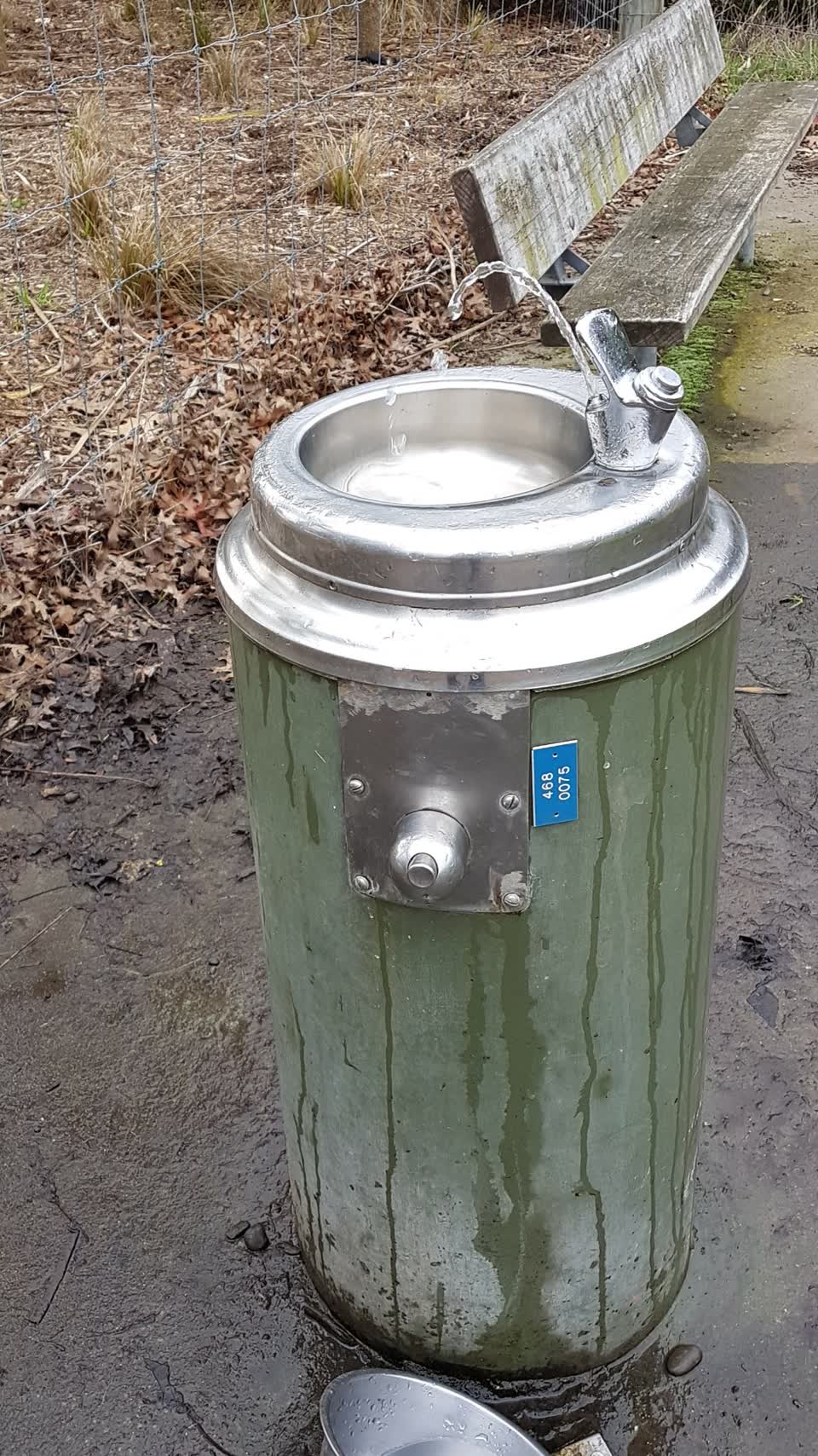 The photograph attached to this parks report