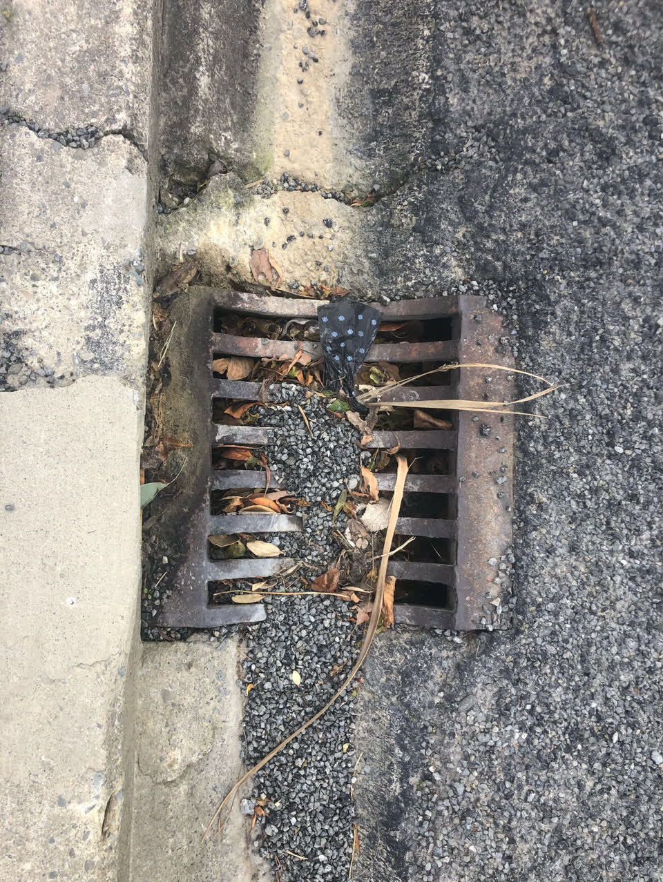 The photograph attached to this wastewater/stormwater report