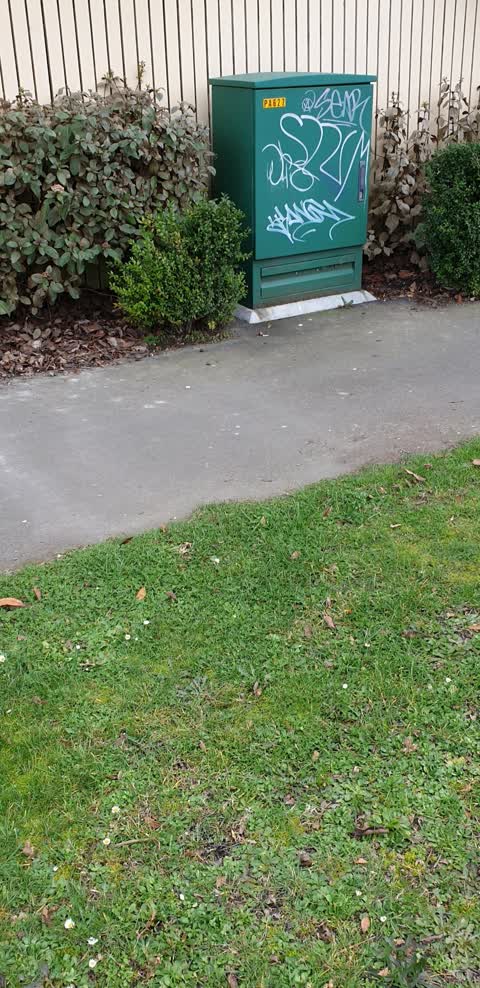 Graffiti, a report photo