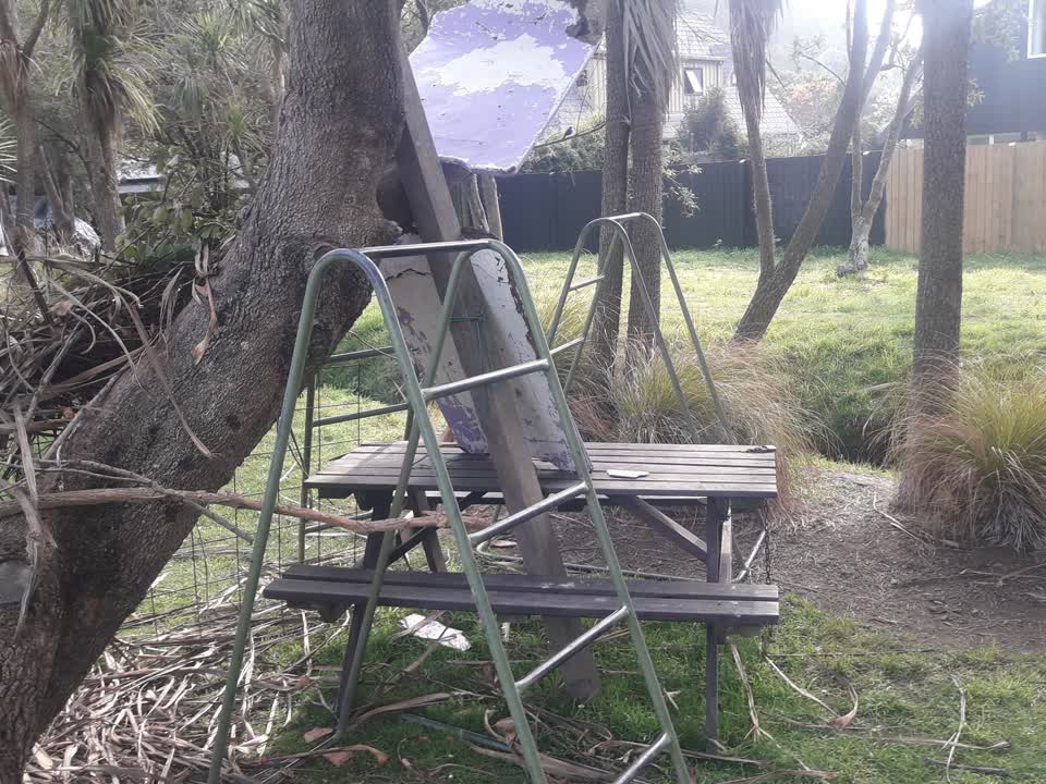 The photograph attached to this parks report