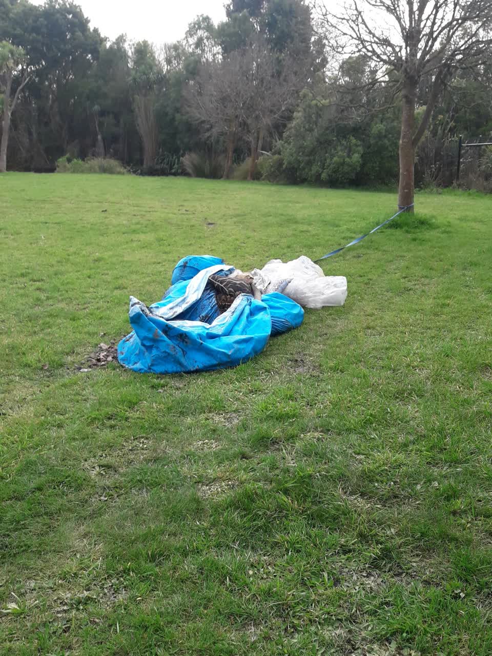 The photograph attached to this parks report