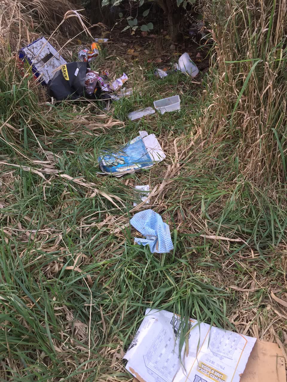 The photograph attached to this parks report