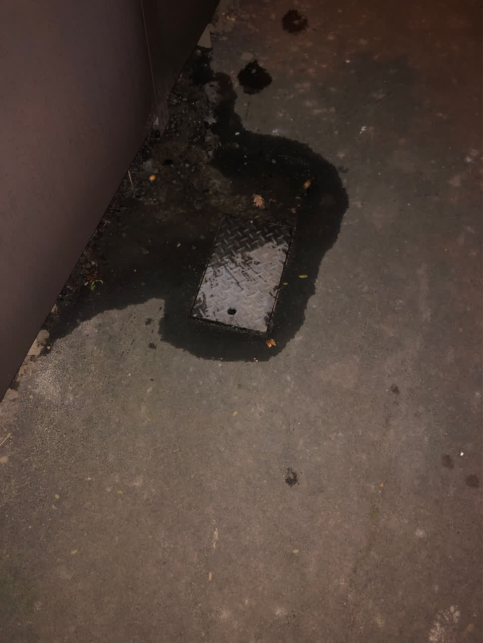 The photograph attached to this water supply report