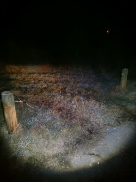 Parks, a report photo