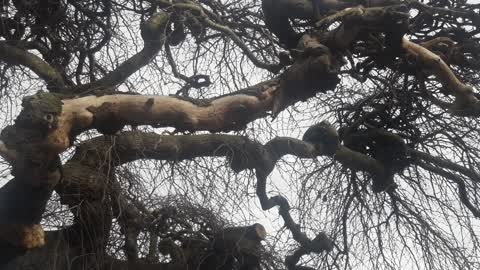 Parks, a report photo