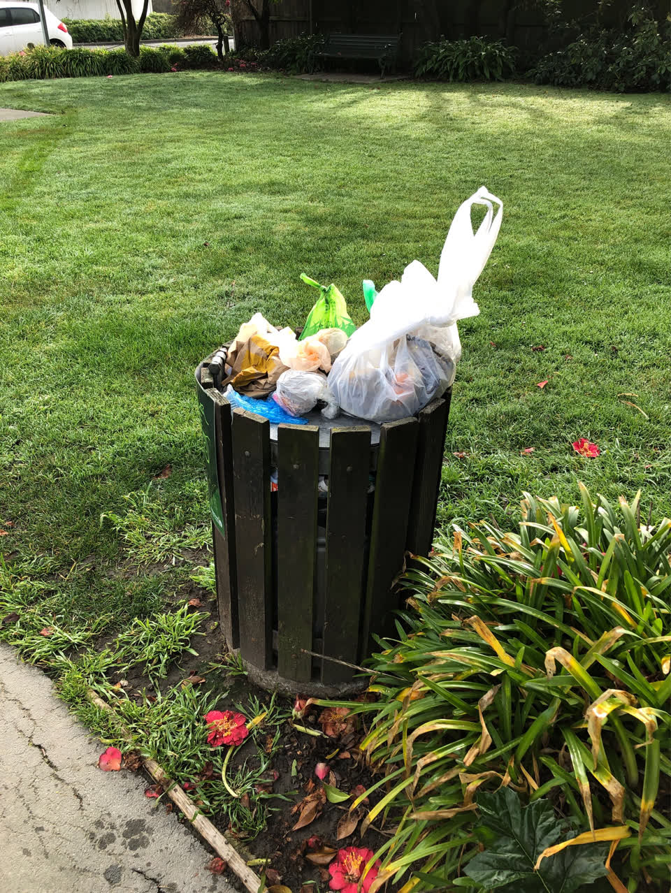 The photograph attached to this parks report
