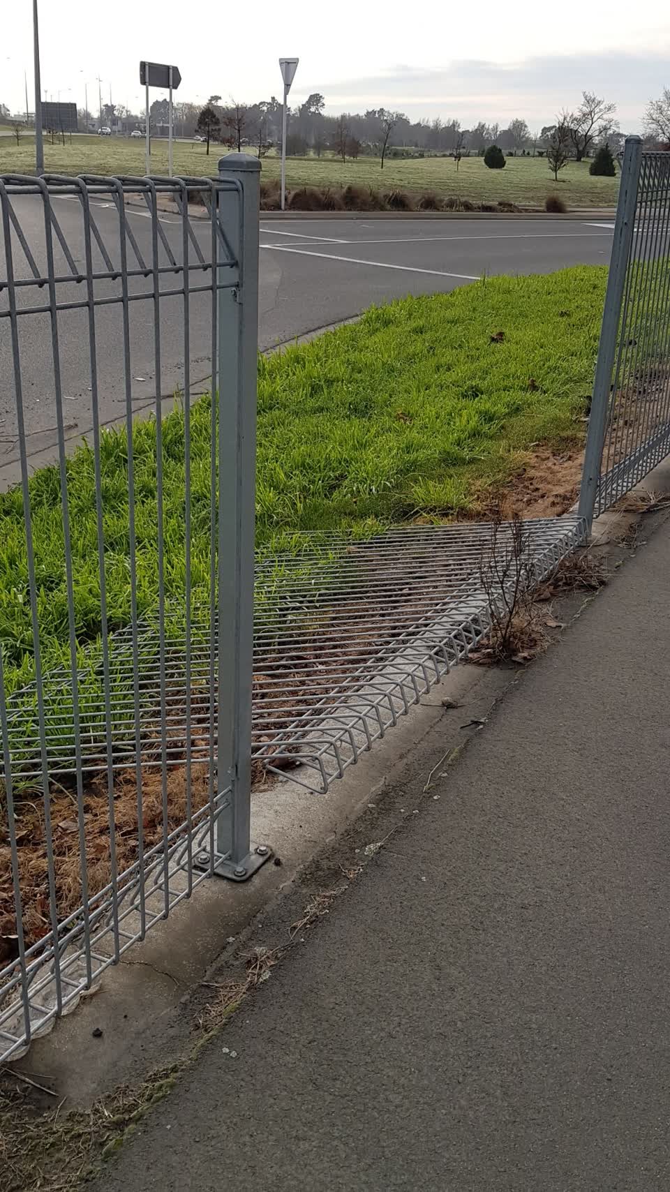 The photograph attached to this parks report