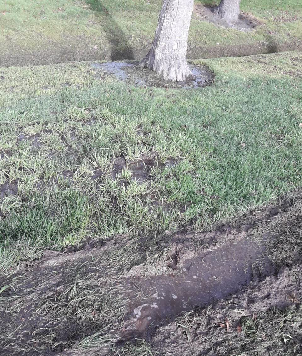 The photograph attached to this parks report