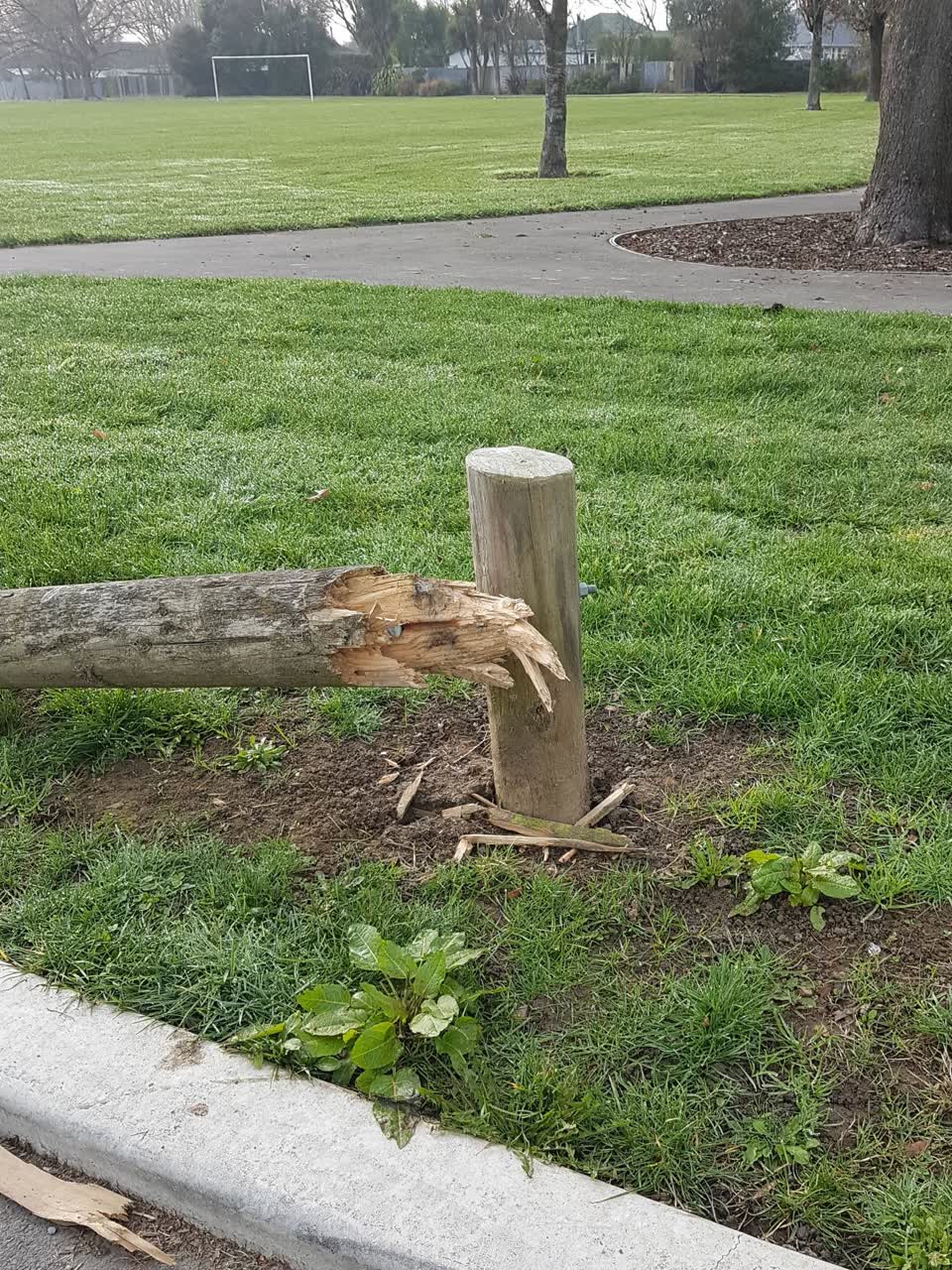 The photograph attached to this parks report