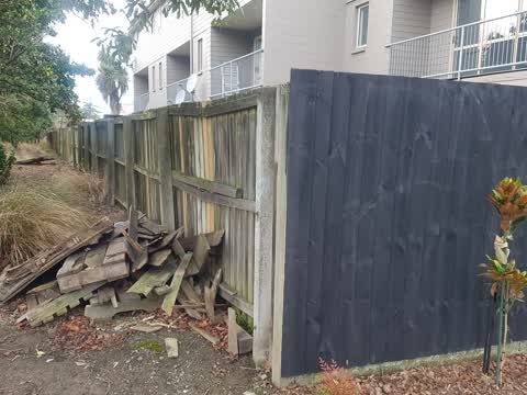 Parks, a report photo