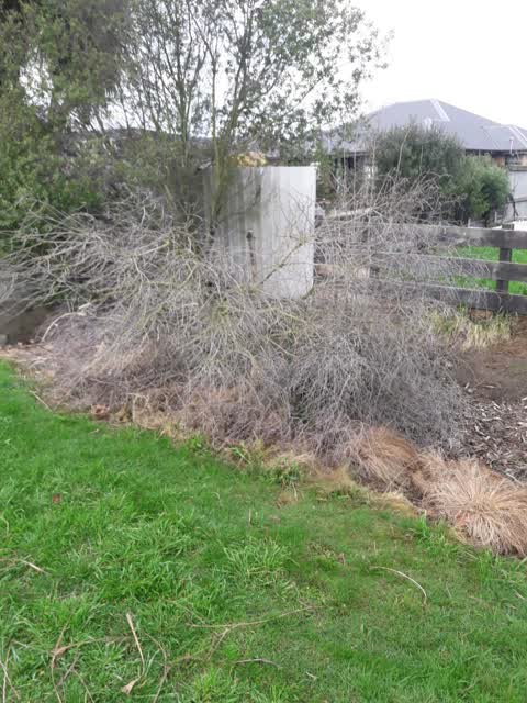 Rubbish/Recycling, a report photo