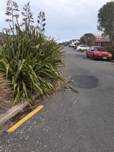 Parks, a report photo
