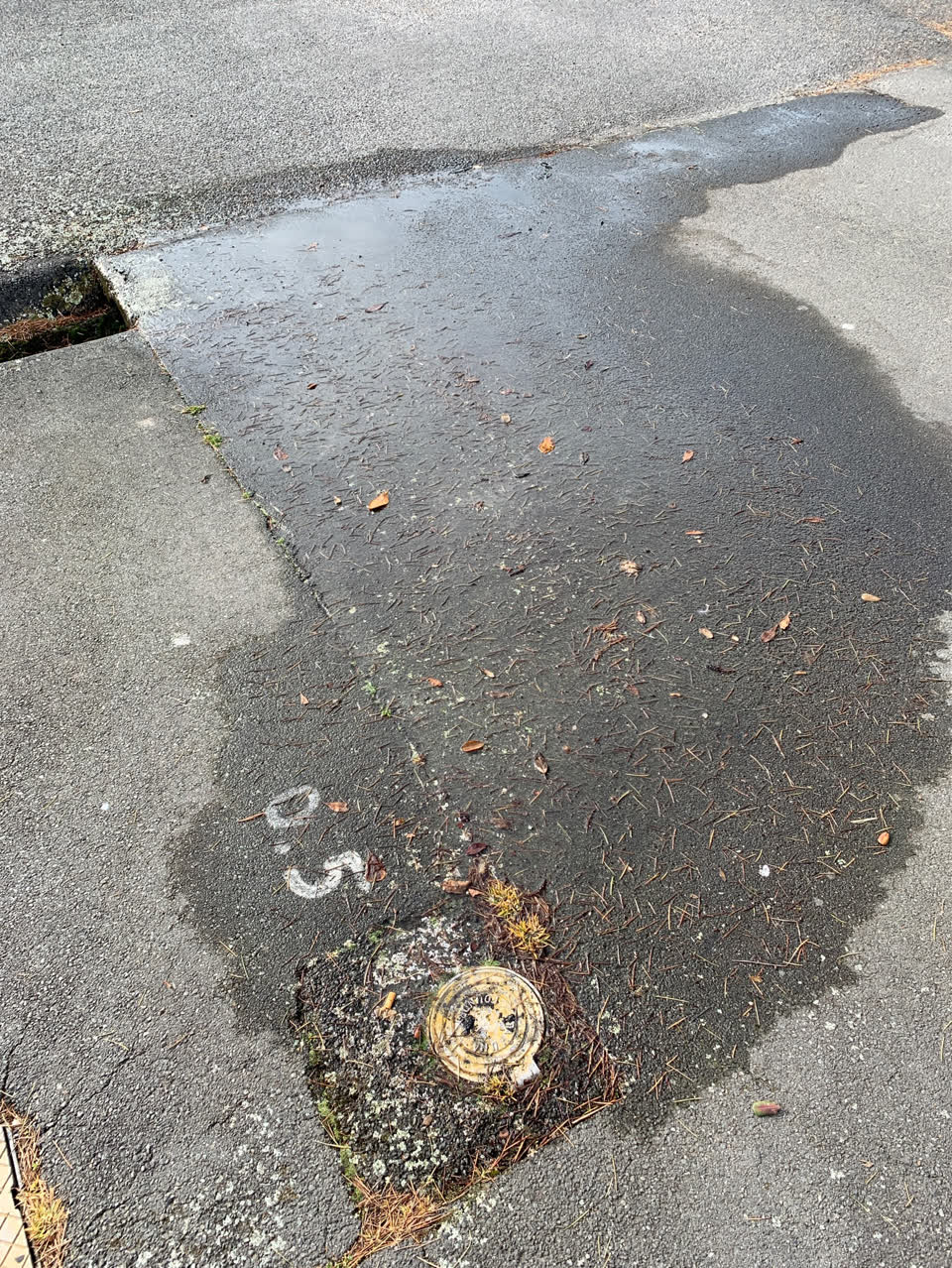 The photograph attached to this water supply report